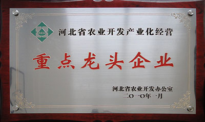 2010省農(nóng)開(kāi)辦龍頭企業(yè)