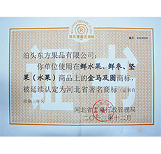 2013年金馬著名商標(biāo)證書(shū)